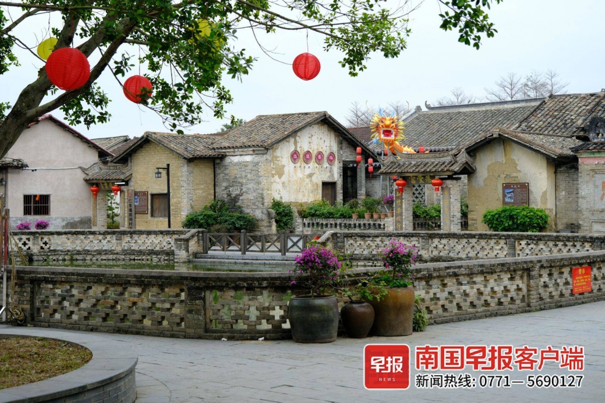 河畅水清白鹭飞,美丽乡村更宜居,水环境治理带来玉林乡村蝶变-广西