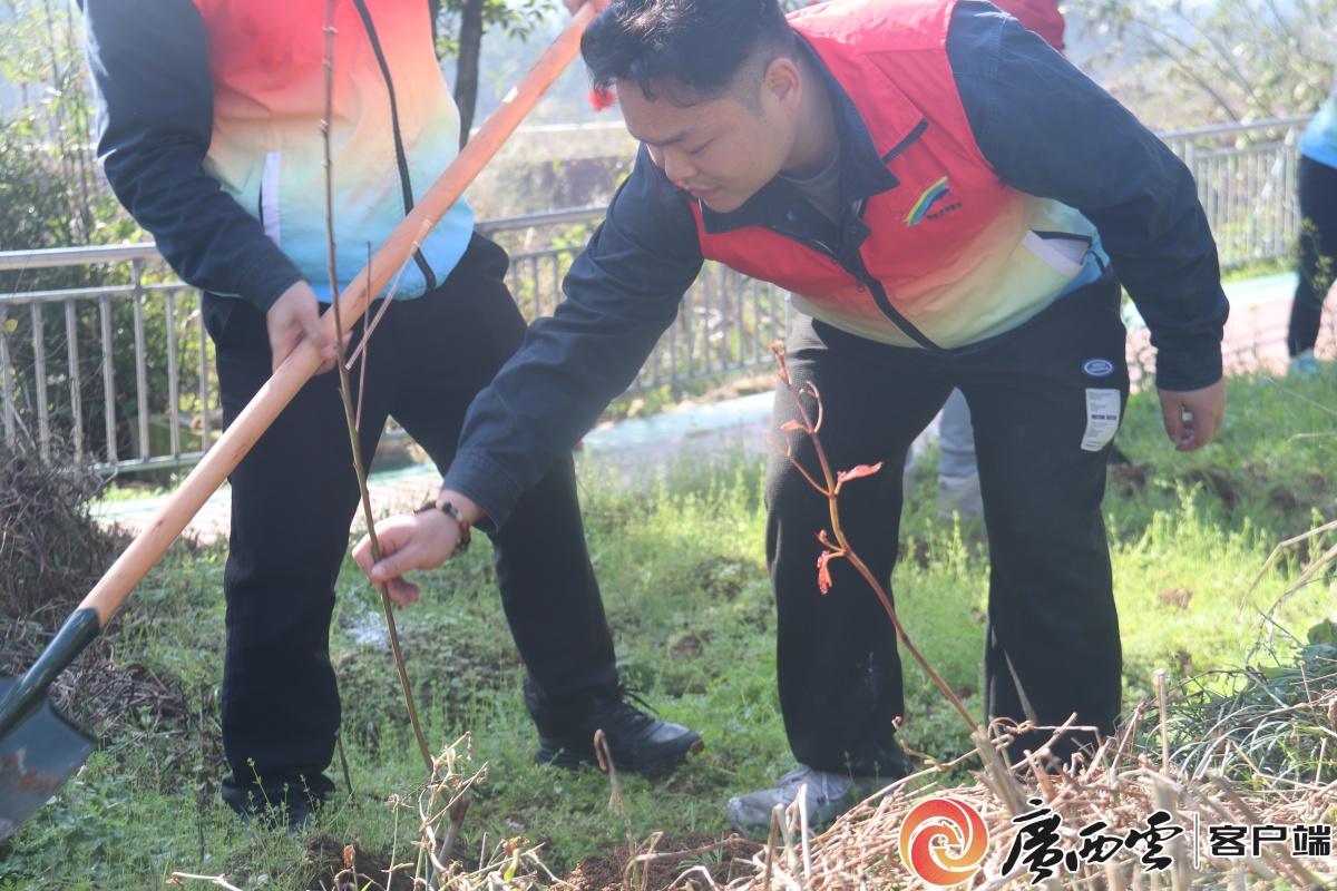 桂林市永福县罗锦镇携手建设单位开展和美家园建设主题党日活动