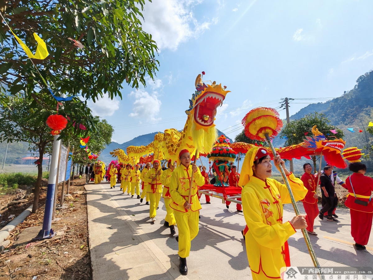 百色市田阳区坡洪镇举办二月二花炮节民俗文化氛围浓