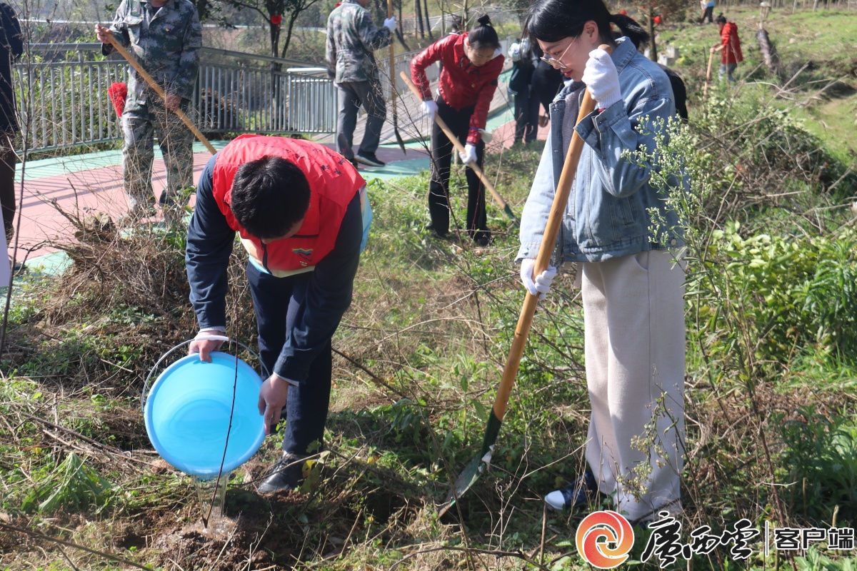 桂林市永福县罗锦镇携手建设单位开展和美家园建设主题党日活动
