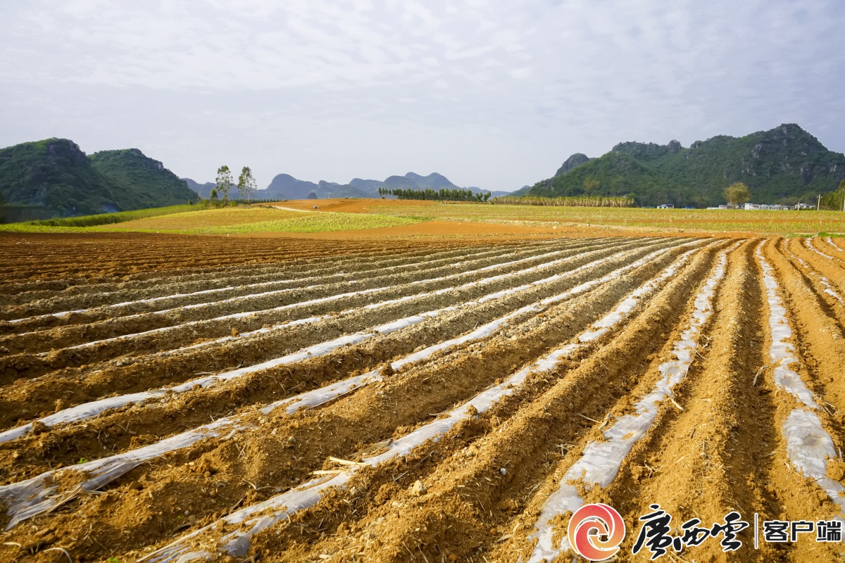种植专家深入田间地头送技助农促发展