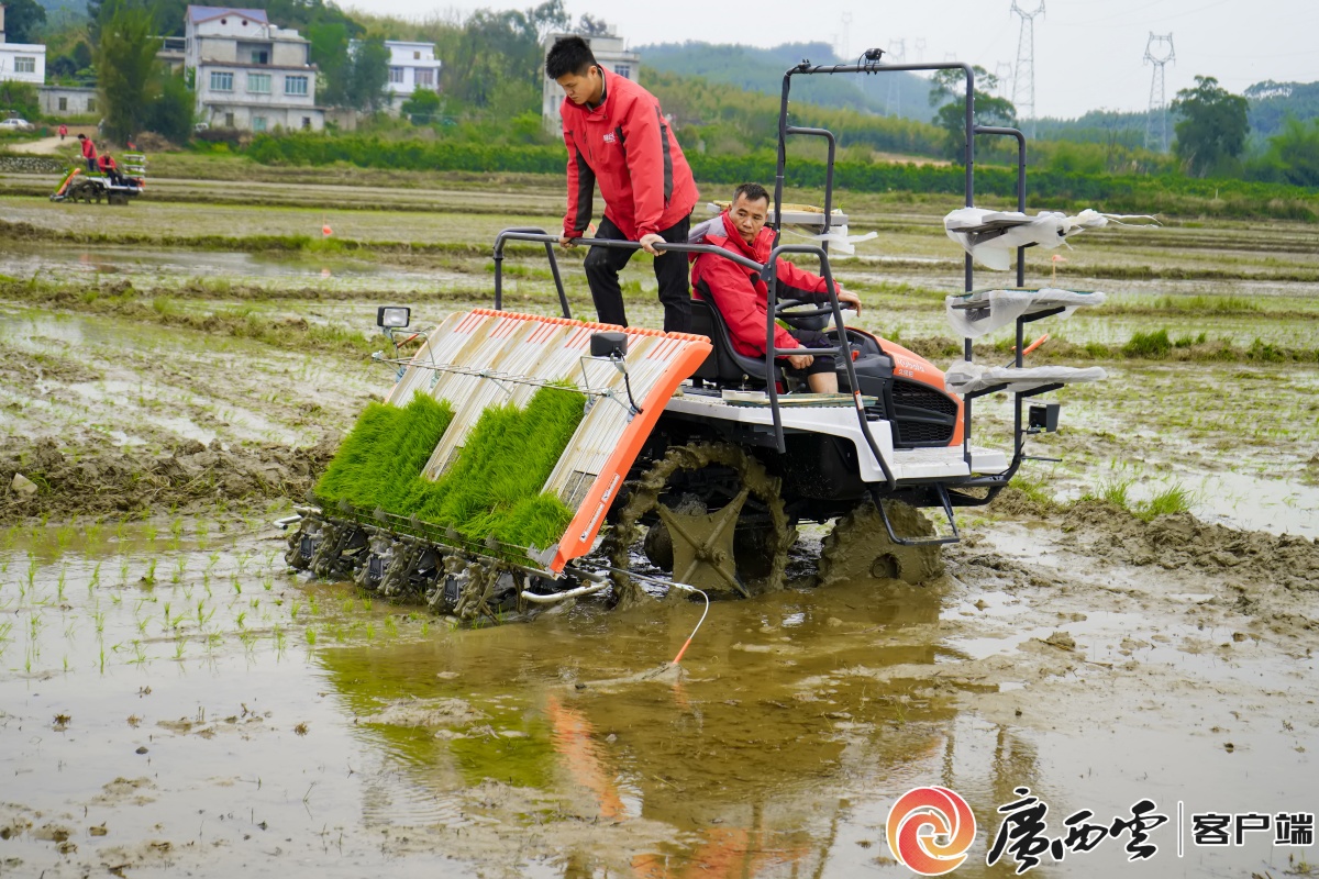"在县农业农村局和县总工会的指导下,我们成立了水稻专业合作社和工会