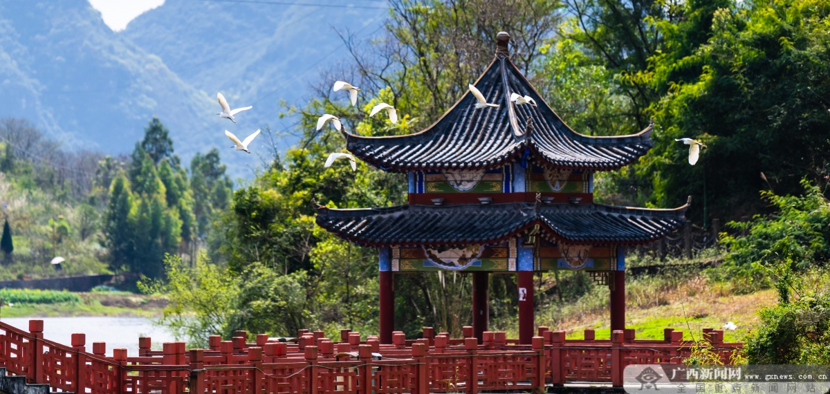 水清岸绿生态美河池罗城葫芦山前白鹭飞