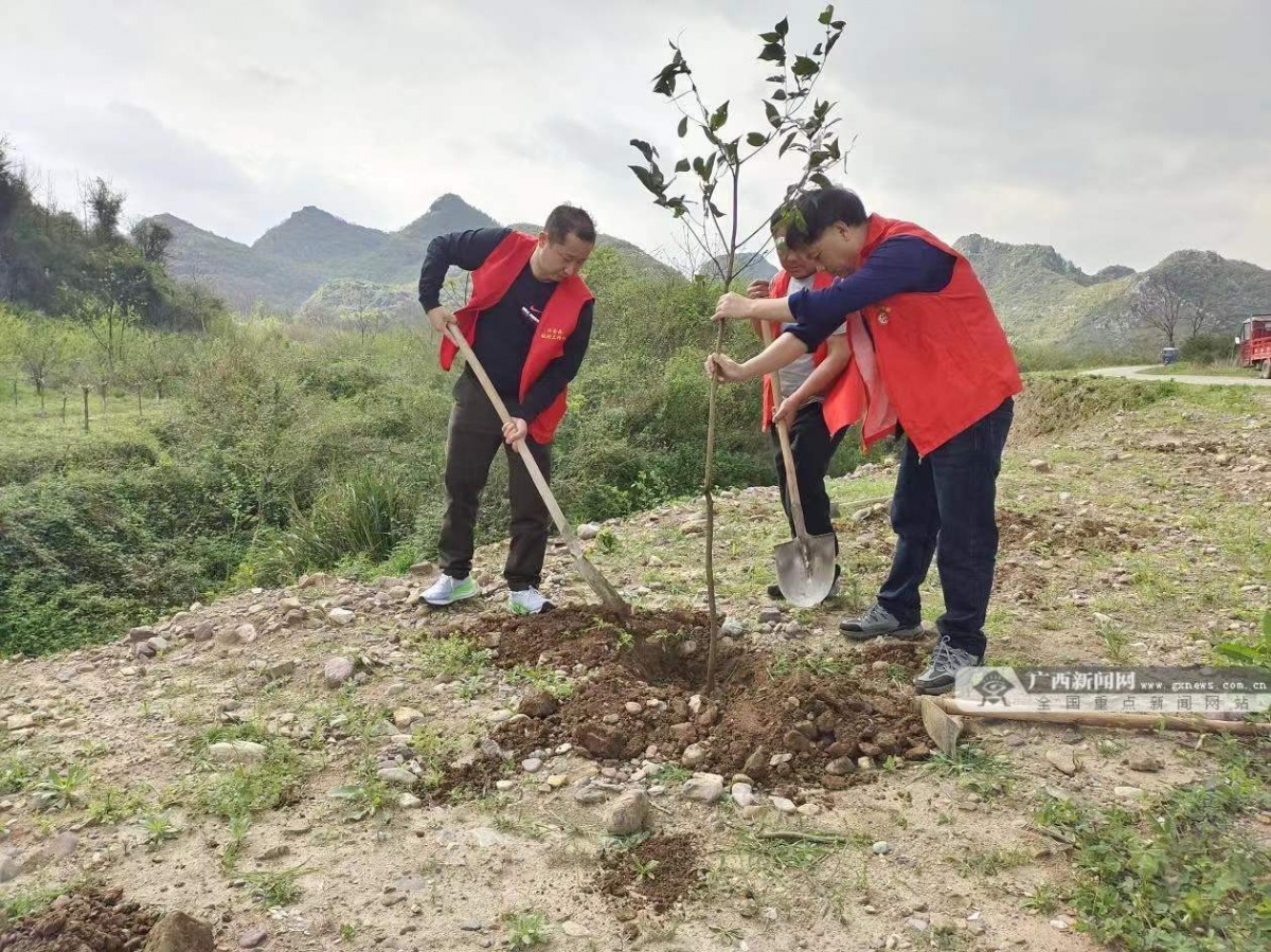 兴安县界首镇开展植树志愿服务活动为美好家园添新绿