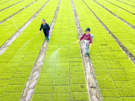 贺州:春耕备耕忙-广西新闻网