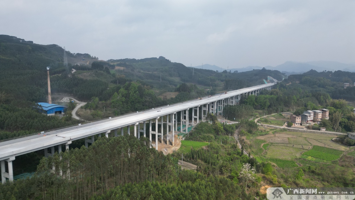 河荔高速t2标项目建设进入冲刺阶段|手机广西网