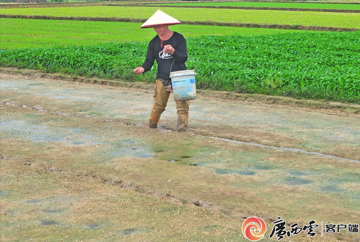 春风化雨播种忙
