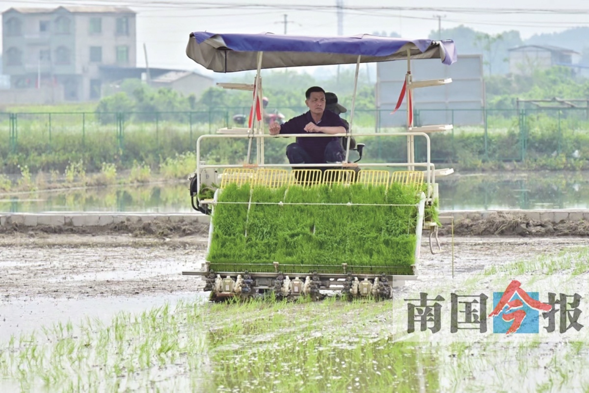 3月30日焦点图|手机广西网