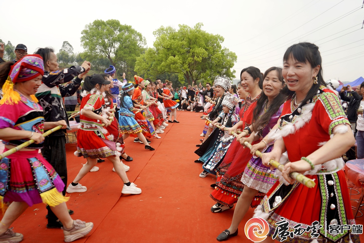 广西德保山歌比赛现场图片