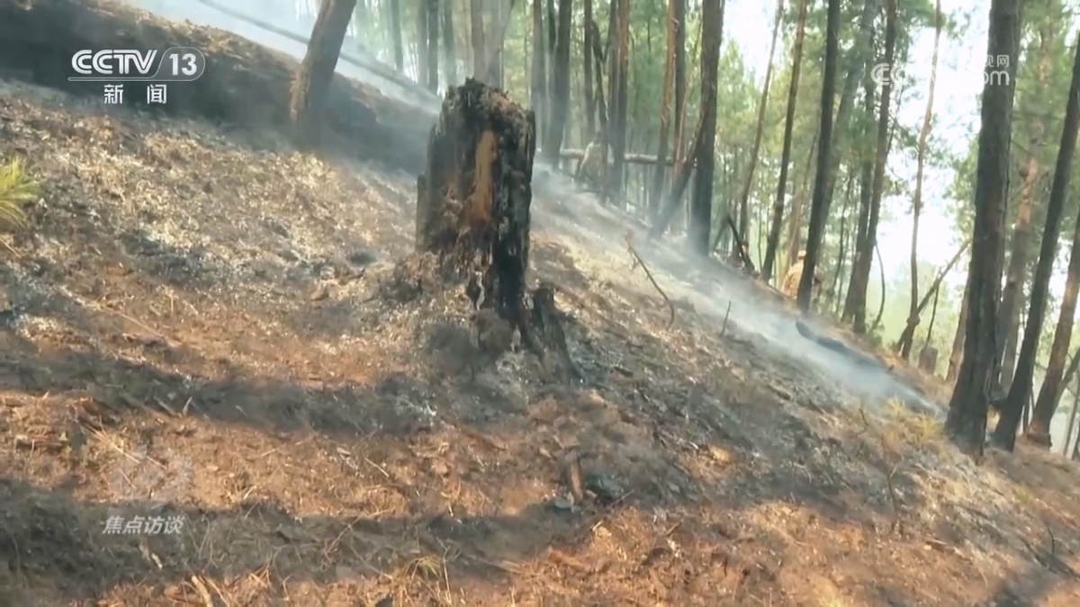 焦点访谈严防小火酿大祸