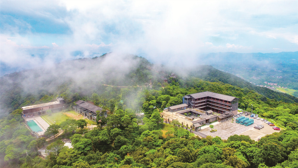 浦北县今年前两月林木业产值5.56亿元 带动就业超万人-广西新闻网