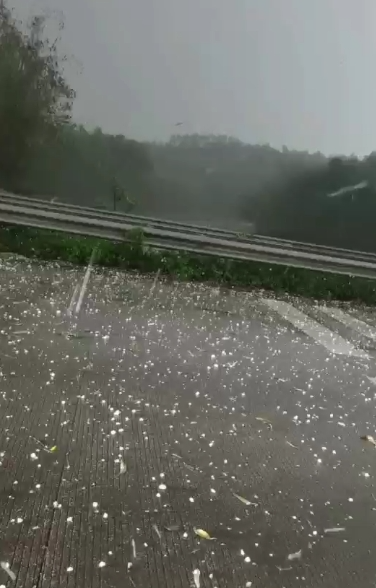刚刚柳州下冰雹啦!柳州市气象局发布多个预警-广西新闻网