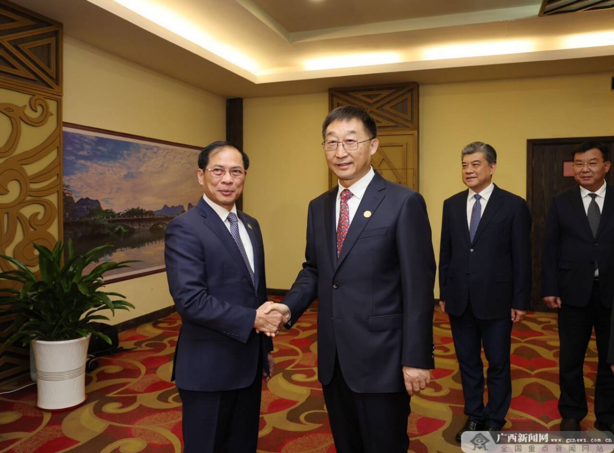 刘宁会见越南外交部长裴青山