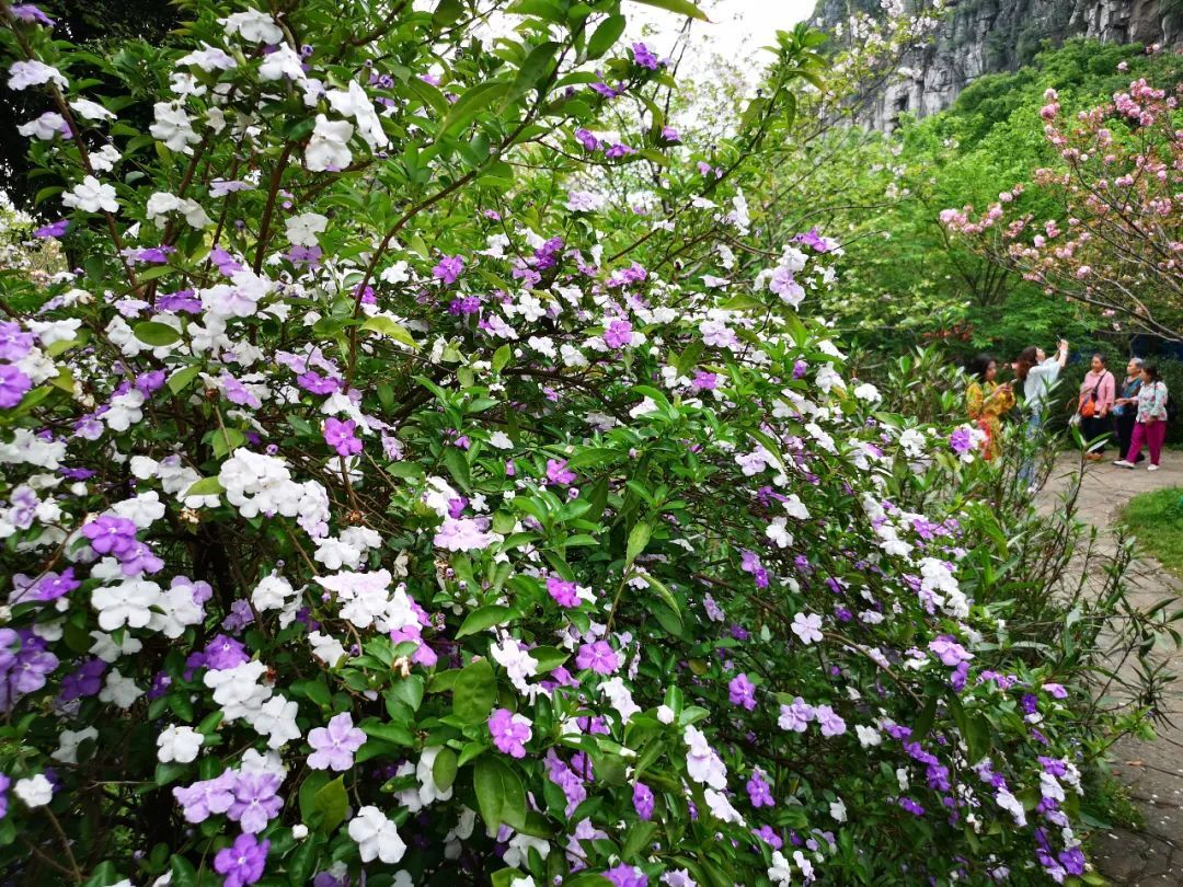 4月7日焦点图411