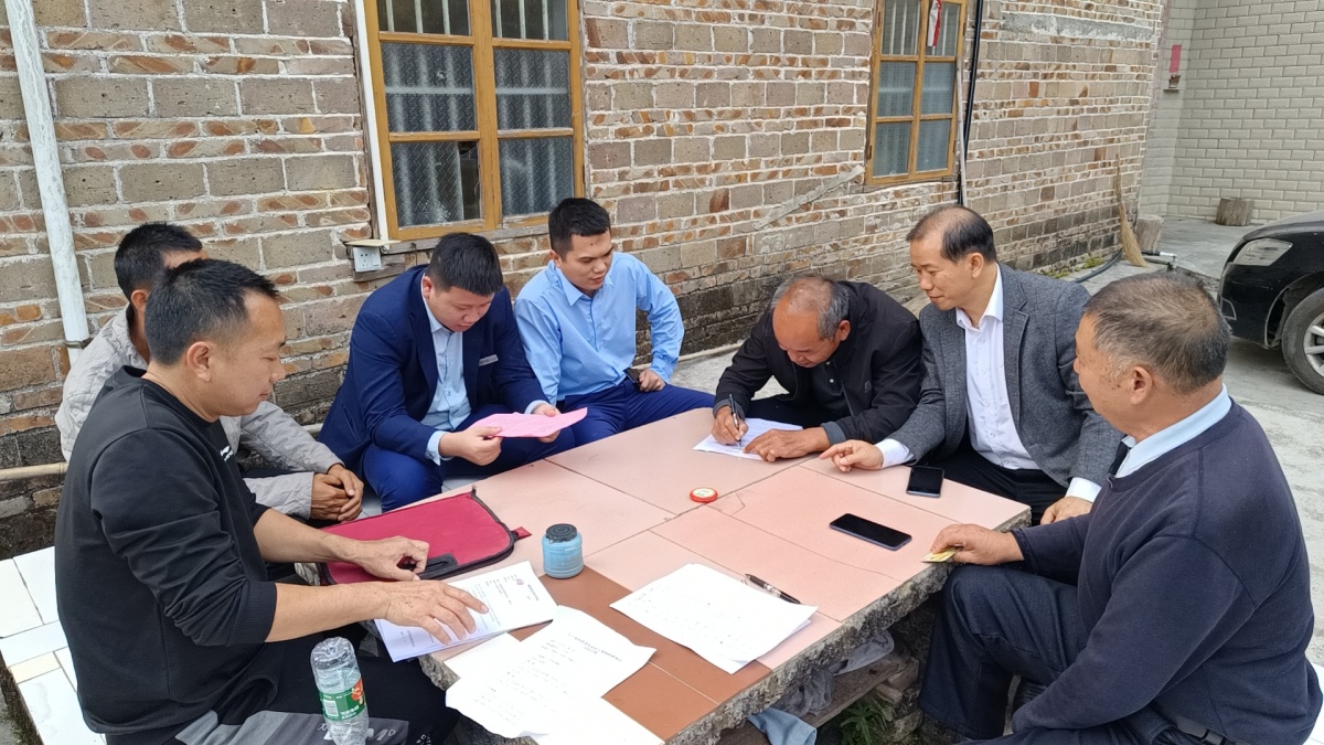 北流市新丰镇八角老树再逢春迎来致富新光景