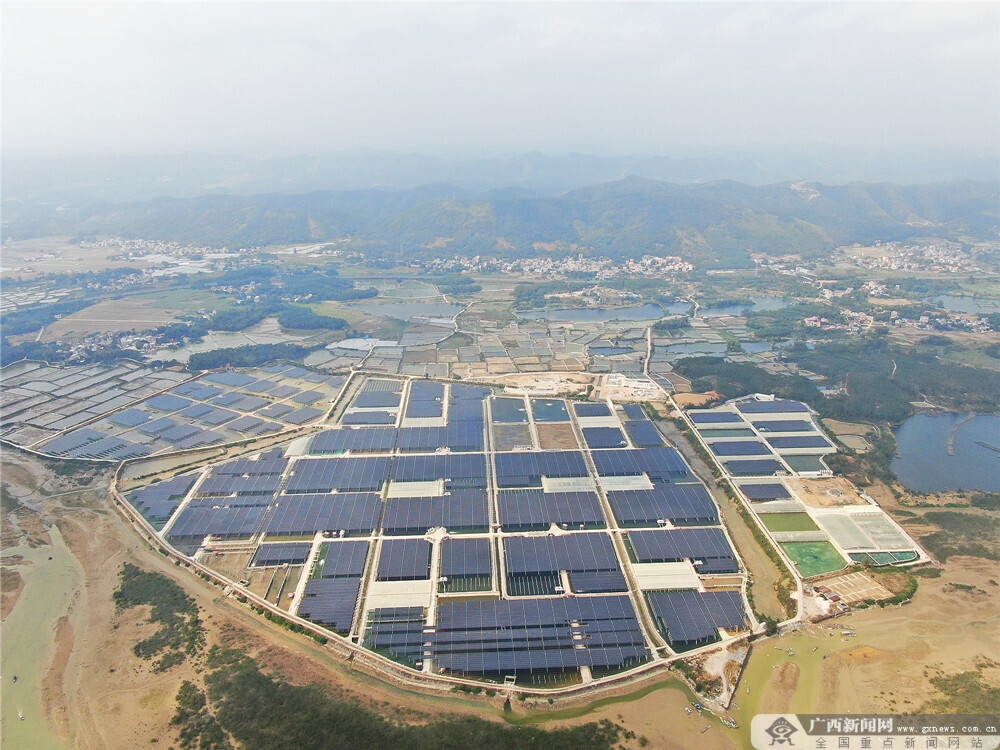 培育主导产业提升供给保障合浦县乡村振兴产业多项数据排广西第一