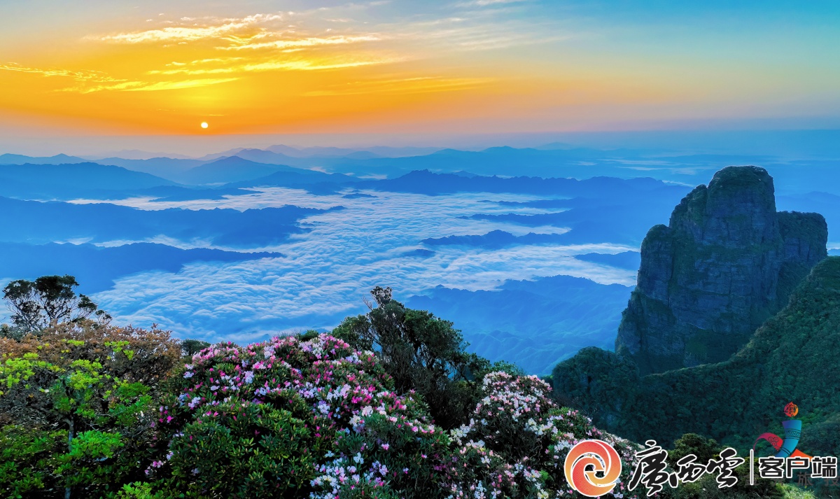 2024年金秀圣堂山杜鹃花文化旅游节将于5月举办-广西新闻网