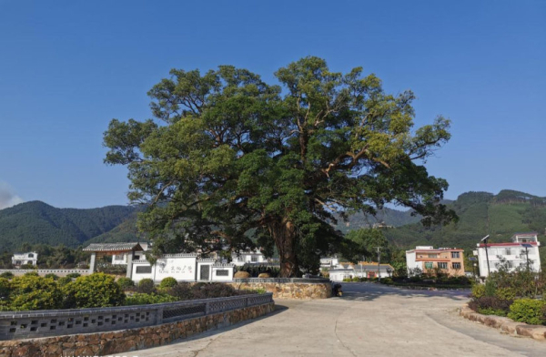 贺州市八步区获评2023年度全国村庄清洁行动先进县-