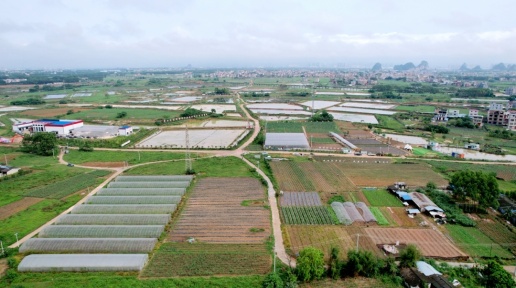 贵港市港南区：特色蔬菜订单农业项目开建 将带动农民就业增收