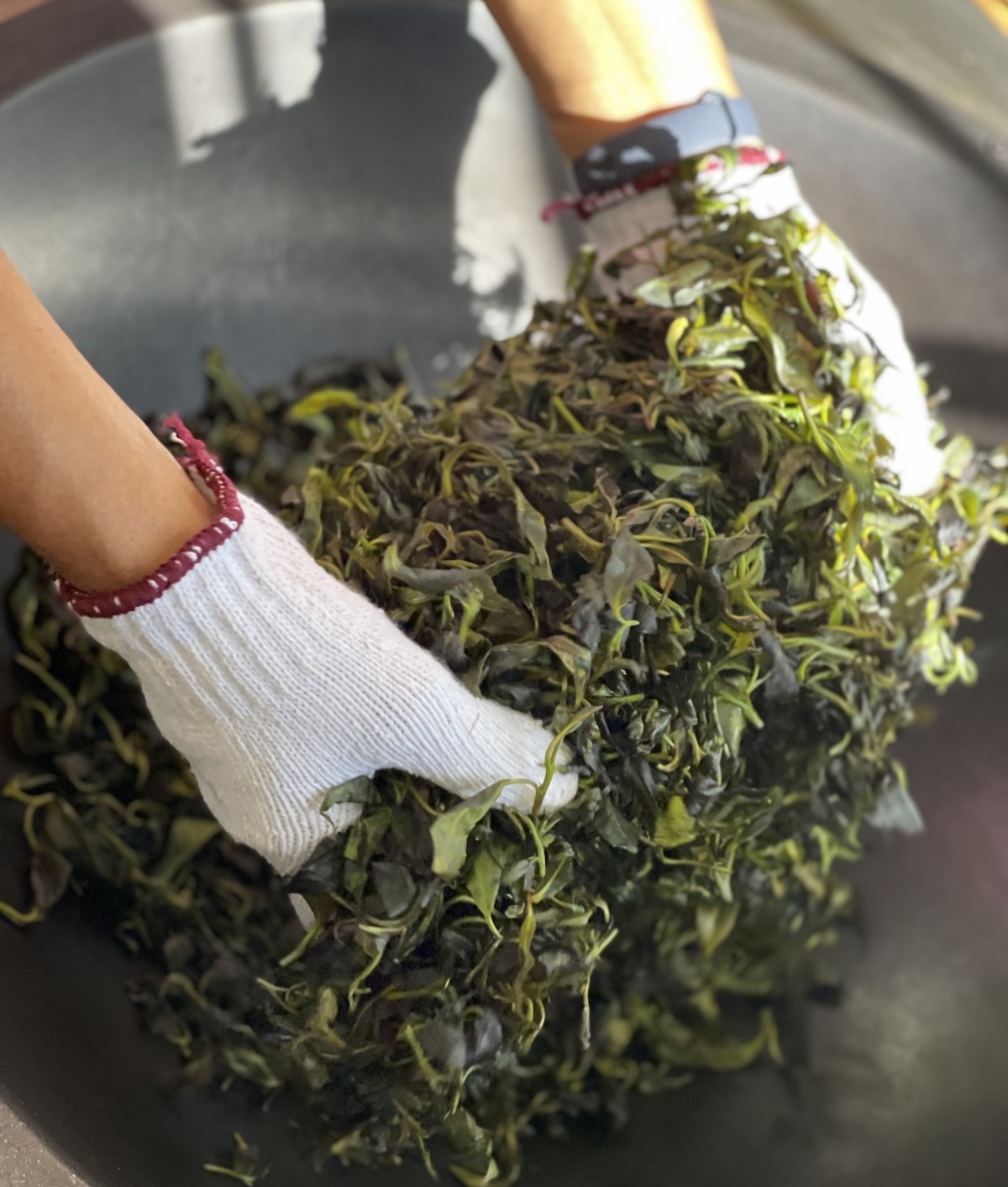 非遗茶会79 | 广西平乐石崖茶:绝壁生辉茶韵扬