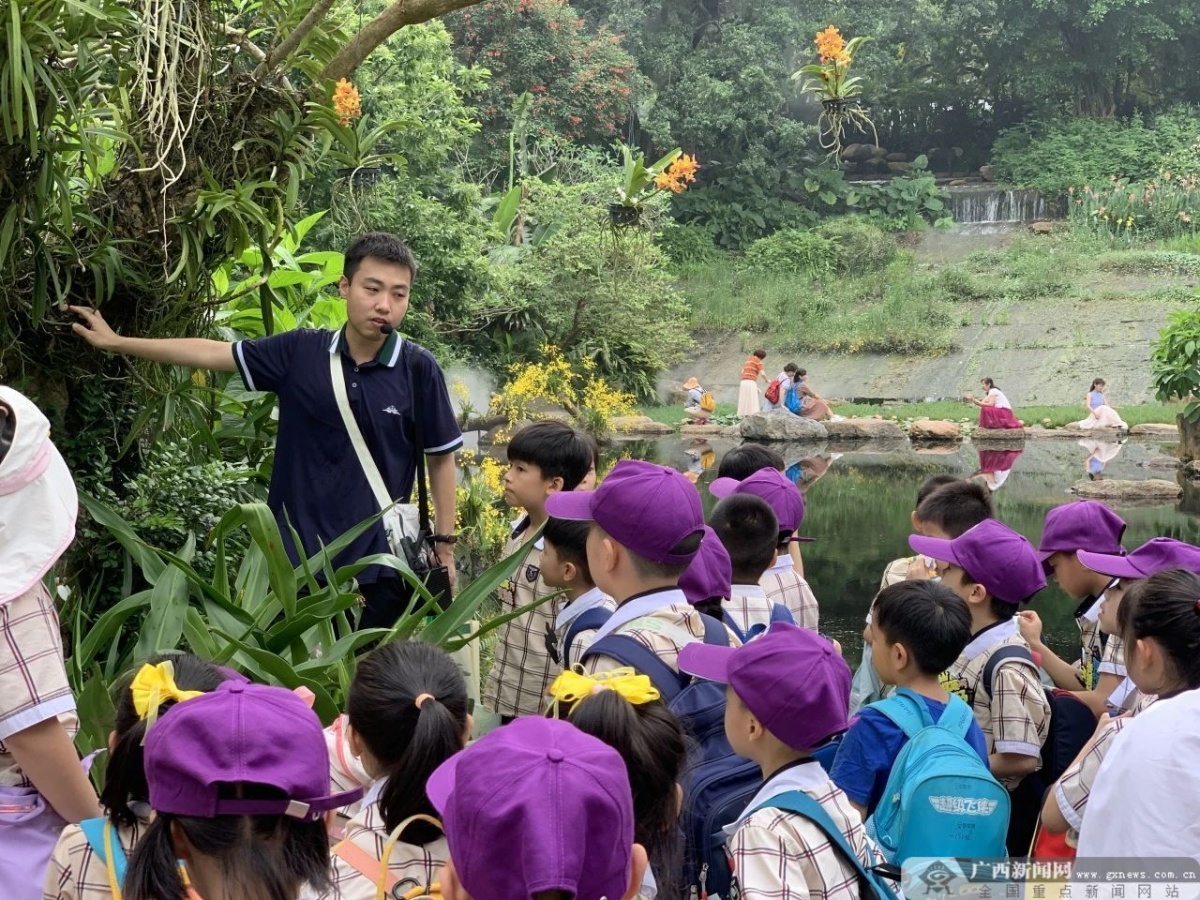 ���ⰻȻ �������� | �����з���·Сѧ�������ſ�չ4��У�������ۺ�ʵ���