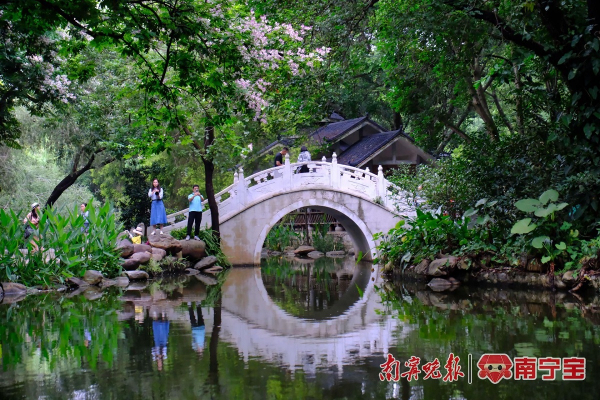 南宁这些公园花开成海,抓紧时间去打卡!