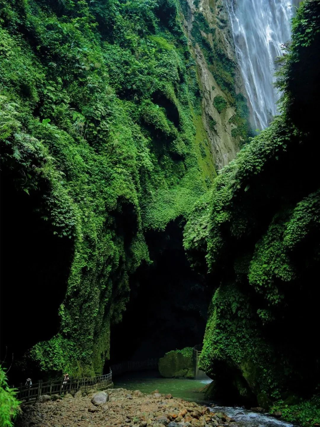 广西新闻网>新闻中心>新闻中心滚动条>正文1080_1439竖版 竖屏