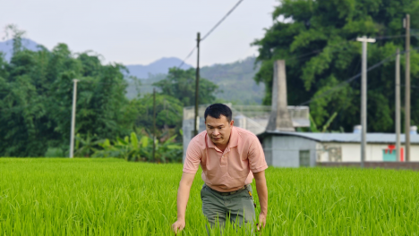 农机助力“新农人”圆梦｜梁勇安：农业机械化绘就乡村振兴新“稻”路
