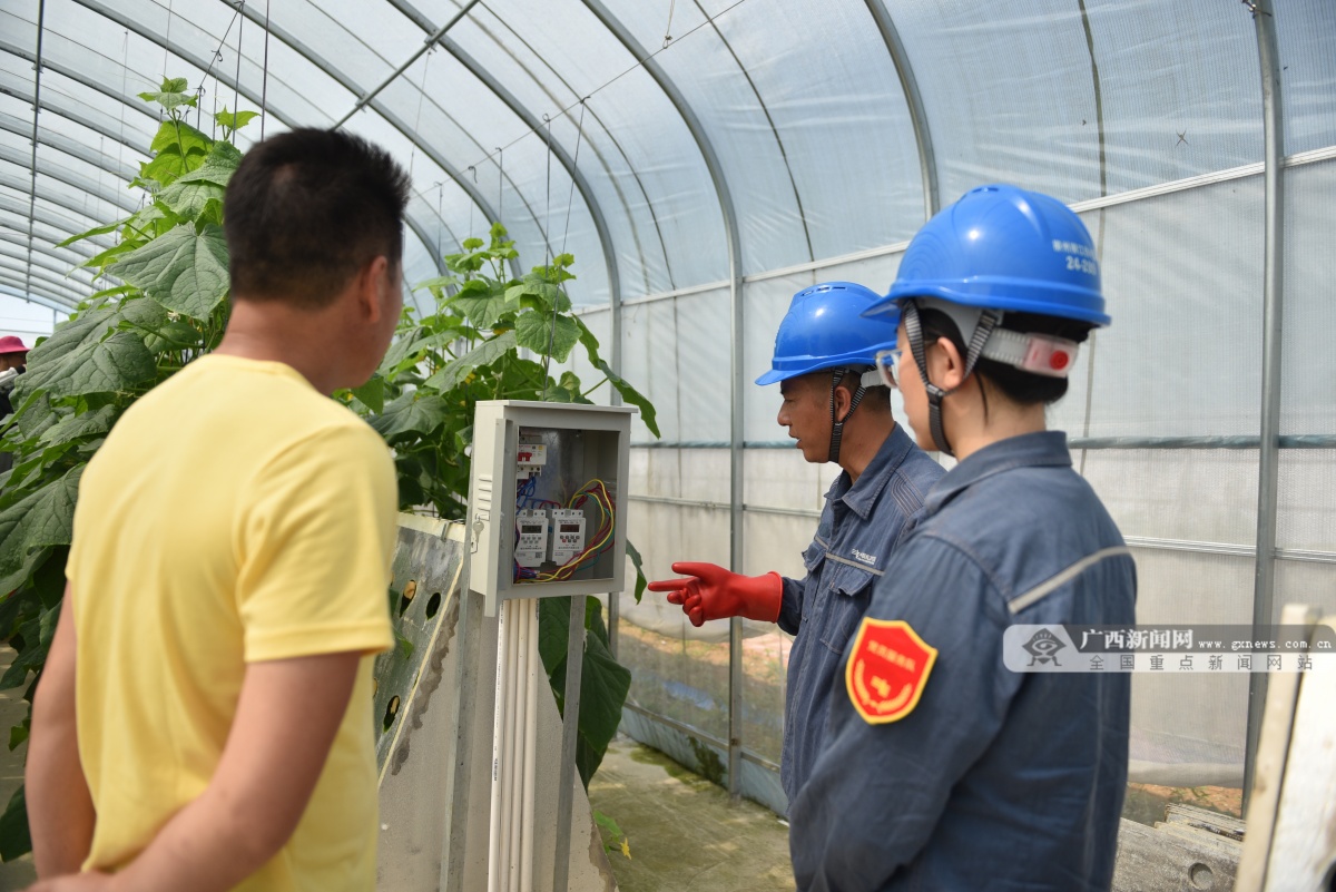 柳州柳江供电：赋能智慧农业助力乡村振兴-广西新闻网