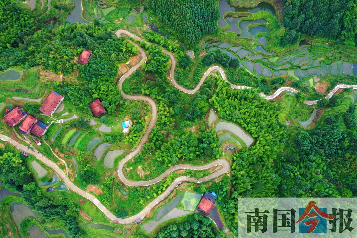 6月7日,俯瞰融水苗族自治县杆洞乡党鸠村乌英苗寨的乡村路蜿蜒盘旋