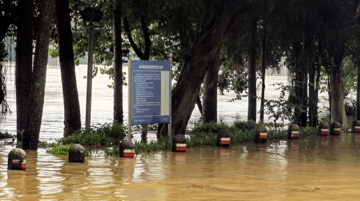 柳州发布柳江河汛情公告 19日或出现85.8米左右的洪峰水位