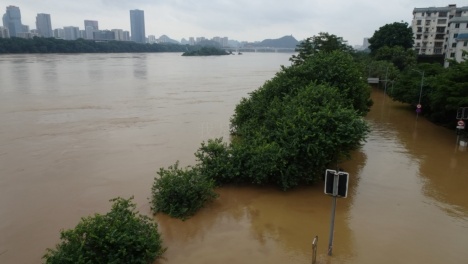 86.3米，柳江河“1号洪水”洪峰过境