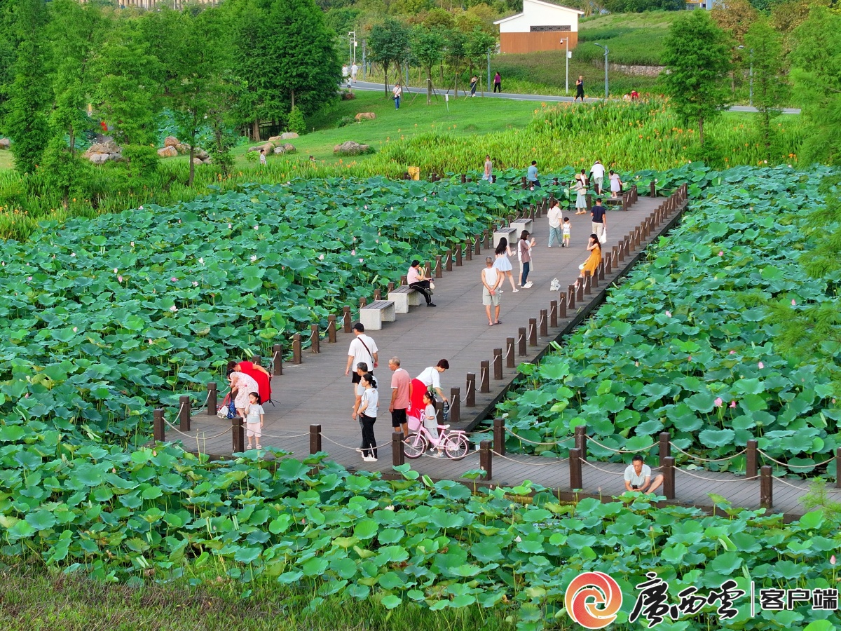 南宁北湖湿地公园位置图片