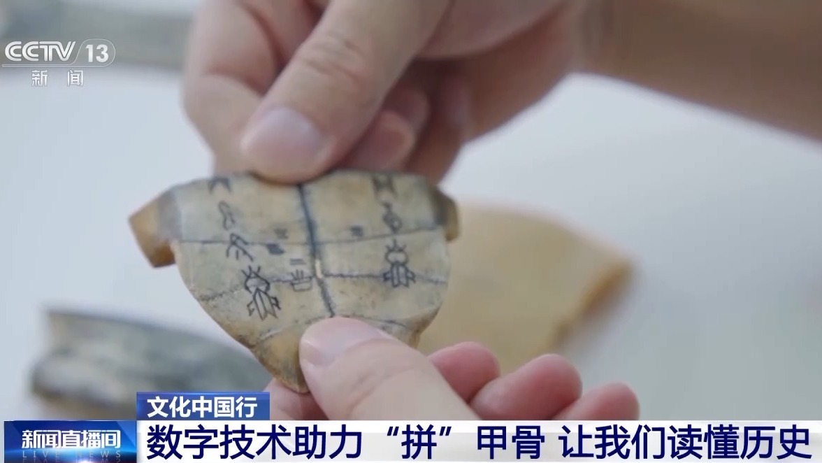 数字医用英文怎么拼文化中国行丨“拼图”→“解码” 数字技术让甲骨文活起来！_https://www.jmylbn.com_新闻资讯_第1张