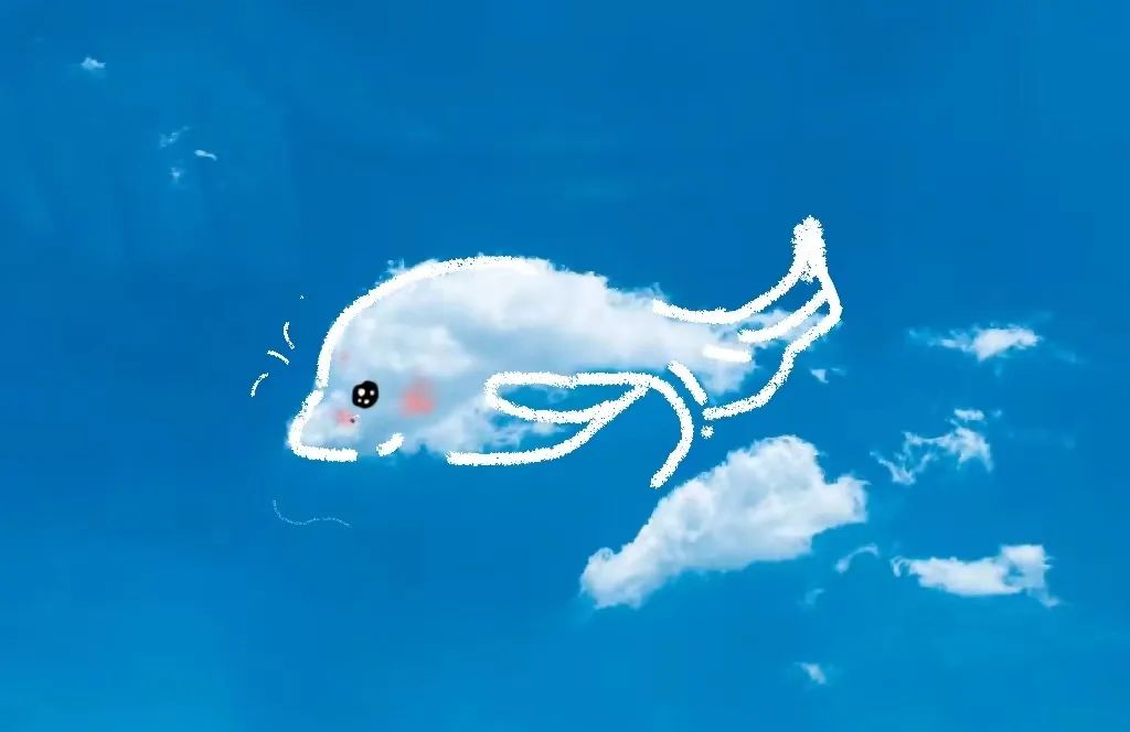 为天空增添了一份可爱像海豚,像蝴蝶,像兔子……云朵流动着,变化莫测