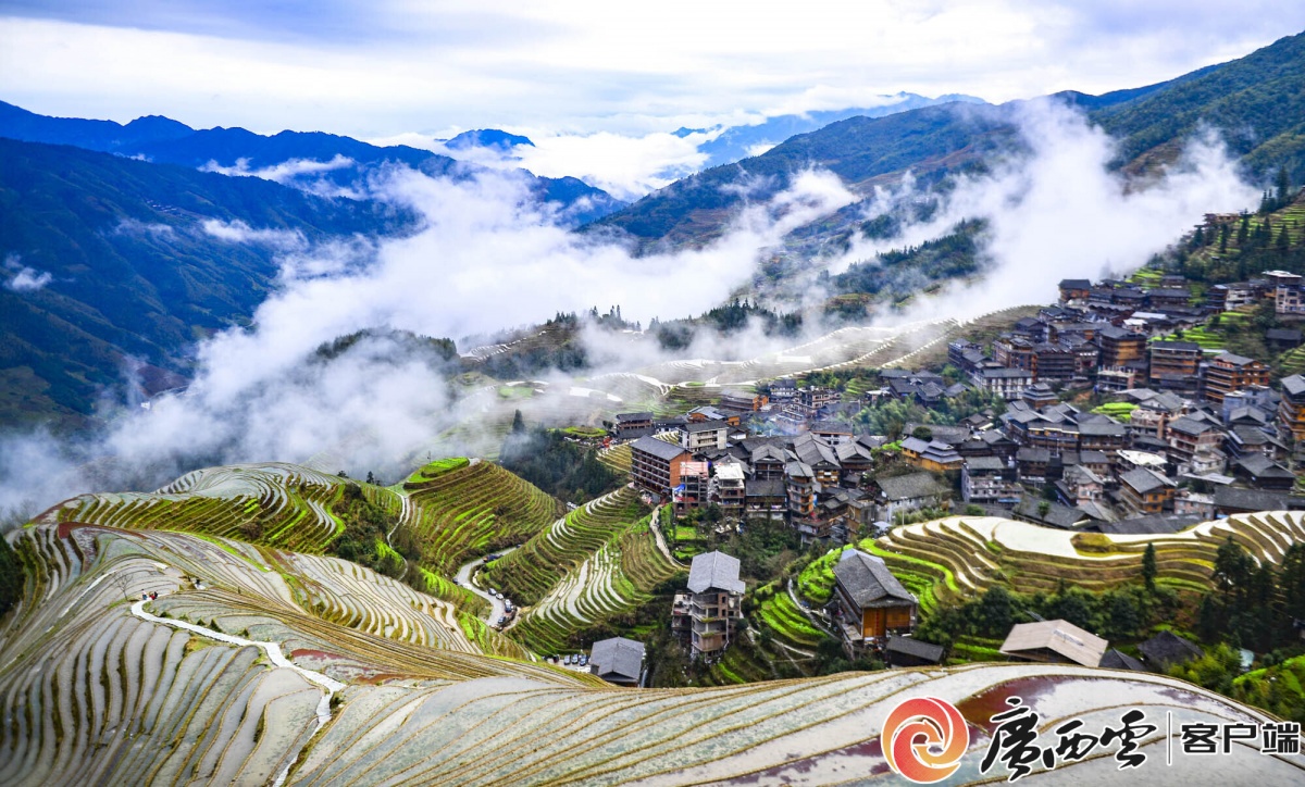 太美了！广西的世界遗产你打卡过哪些？(图6)