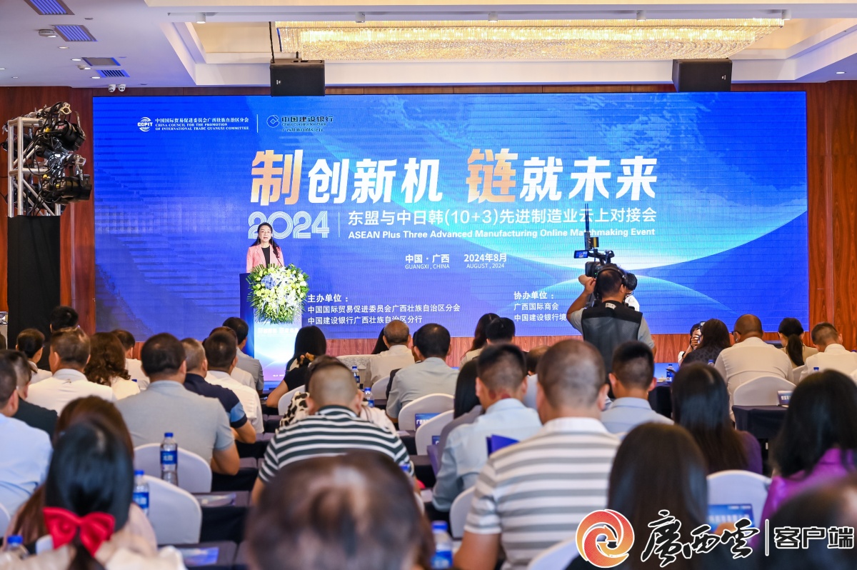 互联东中西共拓新商机丨2024年东盟与中日韩（10+3）先进制造业云上对接会侧记(图2)