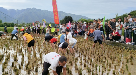 2024“文旅赋能·和美乡村”广西乡村旅游嘉年华在全州启动