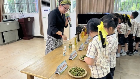 全国科普日：专家为孩子们揭开广西油茶的神秘面纱