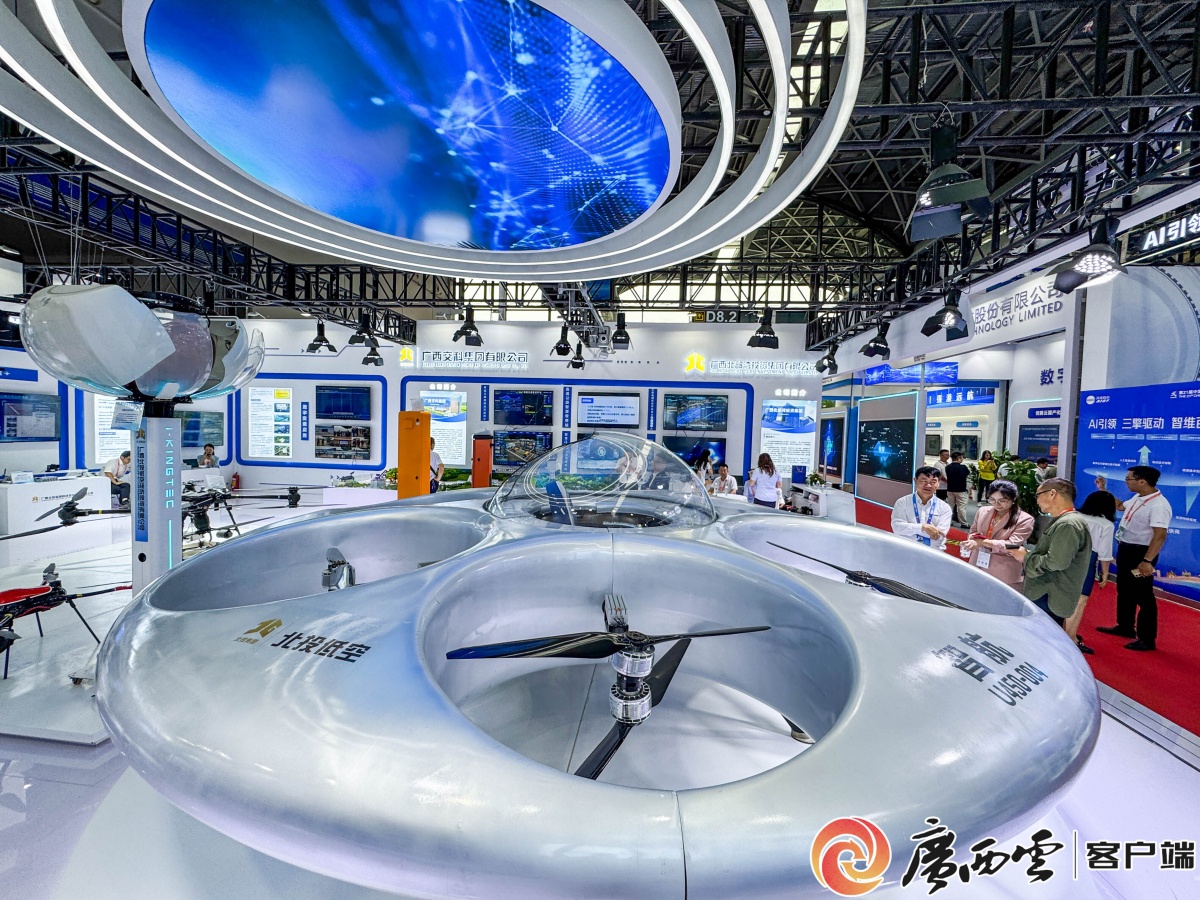 首设多个场馆！第22届中国—东盟博览会参展参会公告发布(图3)