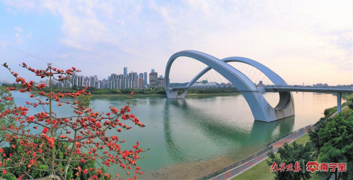 一桥一景创"世界之最",来看看邕江桥梁"生长史"