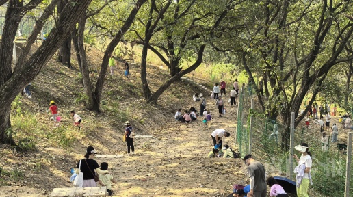 ����������ط����ɾ�����ܰ��������Ŀ���