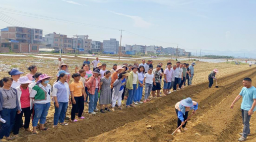 ��ɫ����������չ������ũ����ѵ Ϊ��ҵ����ע���»���