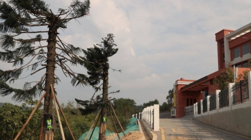 ���ݡ�99�ꡱСѧ��Ǩ ����44�������ɡ��ƾӡ����