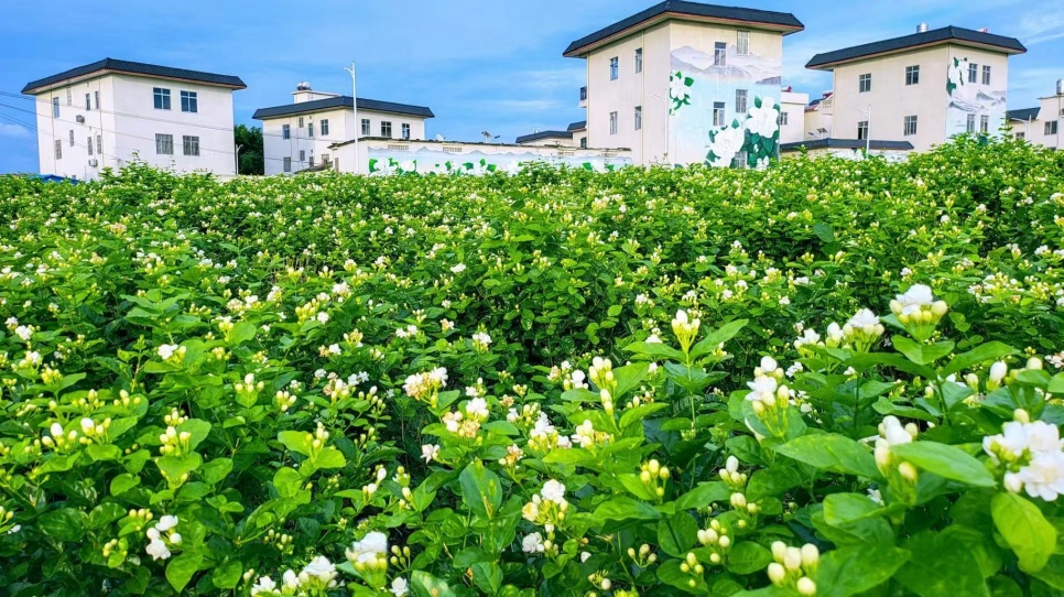 �������Լ����ƶ����򻨲�ҵ��ɫ����