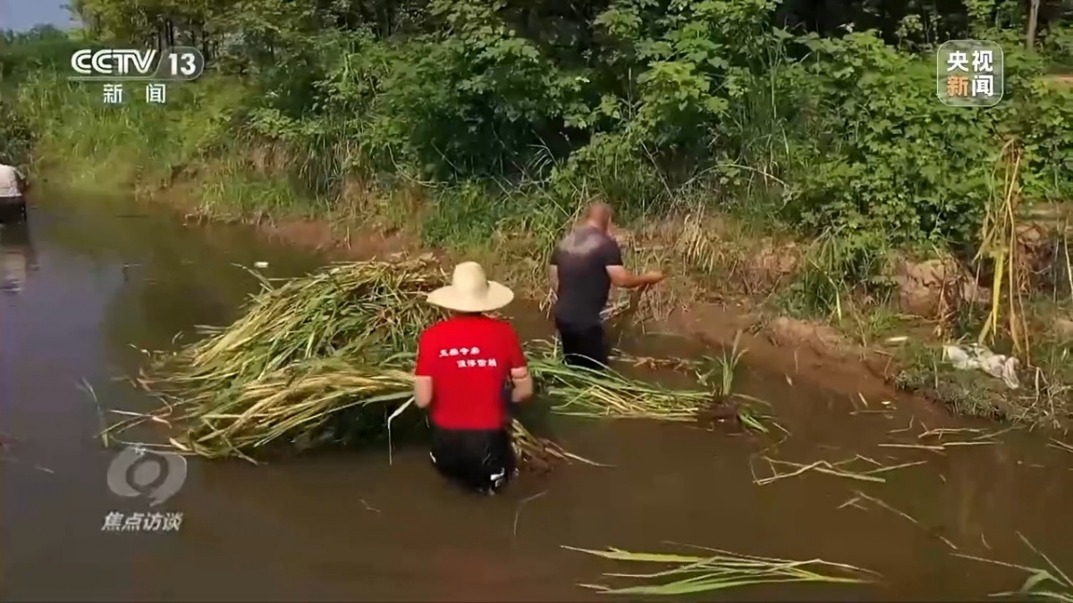 焦点访谈丨从“劣Ⅴ类”到美丽湖泊 解美嘉体育下载锁大通湖“蝶变”密码(图7)