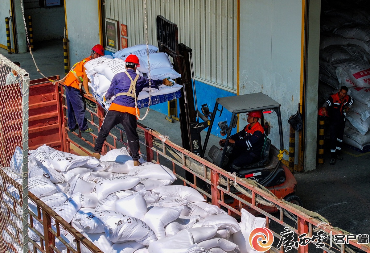 南宁国际铁路港货运增长迅猛