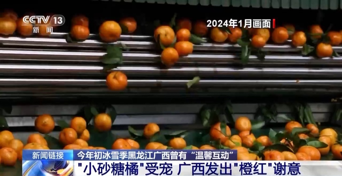 kaiyun开云电竞:“蔓越莓”与“砂糖橘”双向奔赴南北两地温馨互动再延续→(图9)