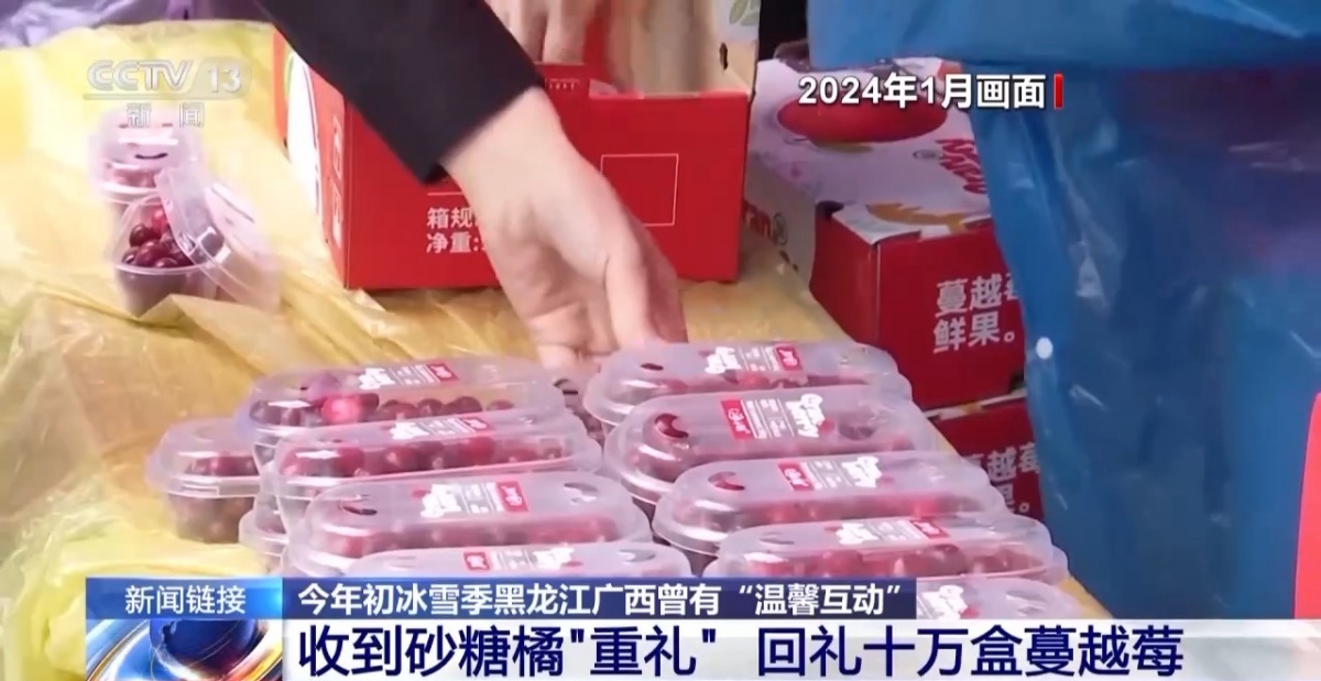 kaiyun开云电竞:“蔓越莓”与“砂糖橘”双向奔赴南北两地温馨互动再延续→(图10)