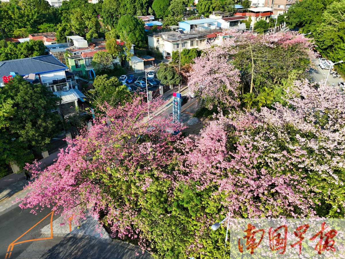 11��13�ս���ͼ